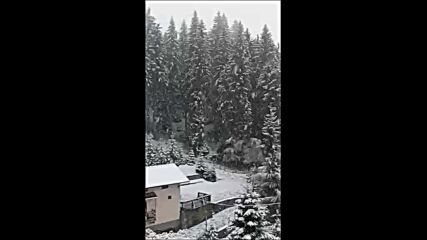 В средата на май: Сняг заваля в Родопите