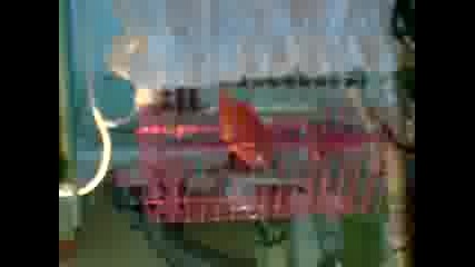 Red kanary ot Ludogorieto