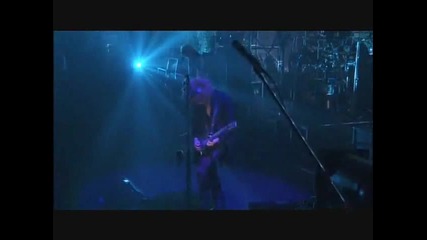The Gazette - Pussy [fm] Dim Scene