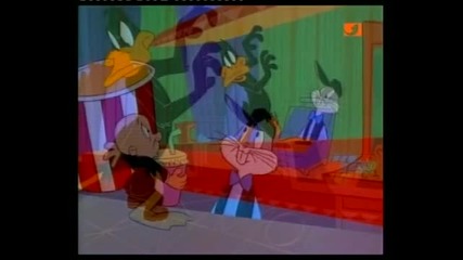 Looney Tunes - Box - Office Bunny