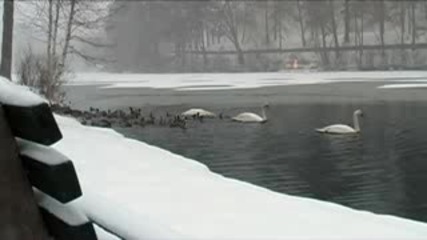 Зимна Приказка И Релакс Winter Relaxation