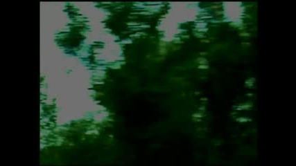 The Shangs - Six O`clock In The Morning.