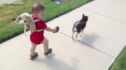 Бебета разхождат кучета - Компилация 2014