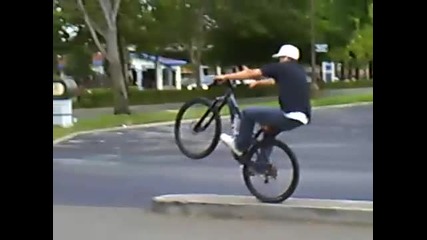bike manual