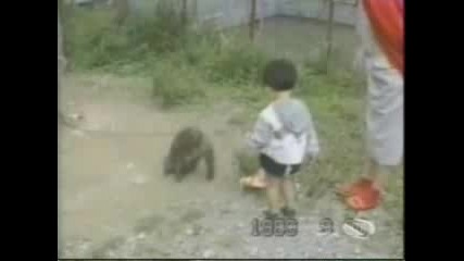 Смешни маймуни - много смях