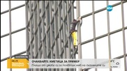 Френският Спайдърмен изкачи небостъргач в Париж