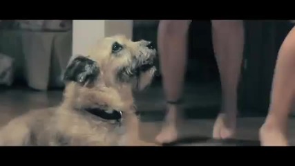 Sak Noel- Paso (the Nini anthem)
