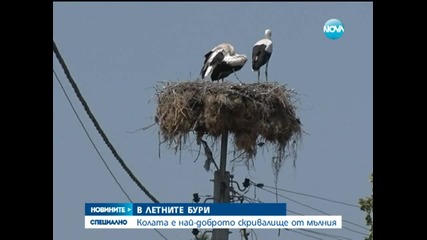 Колата е най-доброто скривалище от мълния