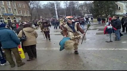 Jabokrat surova 2010 Pernik - 3 0