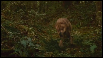 Twilight New Moon - Official Id Never Hurt You Tv Spot 