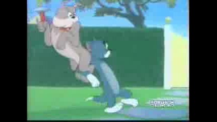 Tom And Jerry - The Dog House Parody