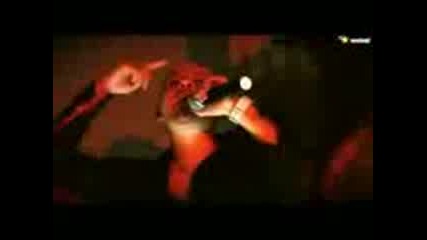 New Hit!!!2010 Morris - desire