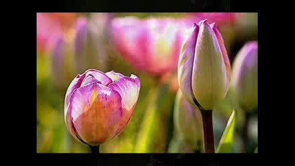 Kenny G - Im in the mood for love