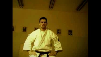 Bersek карате колаж 2 