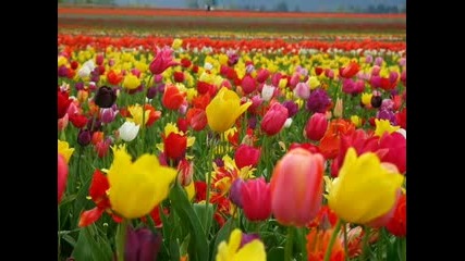 Secret Garden - Serenade to Spring 