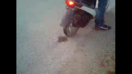 honda dio af 18
