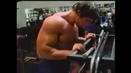 body building - arnold schwarzenegger - biceps training 