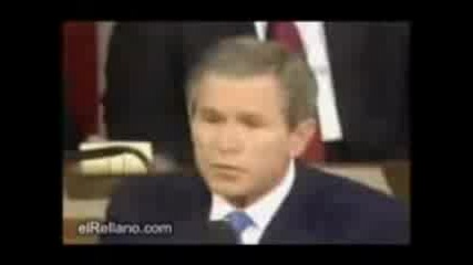Bush Beatbox