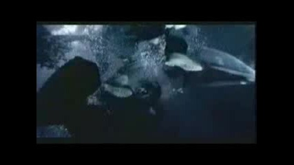 Fugees - Ready Or Not