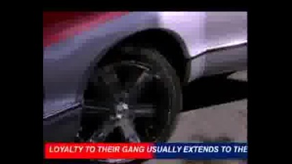 shake the mayor - everybodys gangsta 