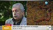 Змията, ухапала дете в Пловдив, била под силен стрес