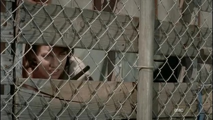 The walking dead s03 e11