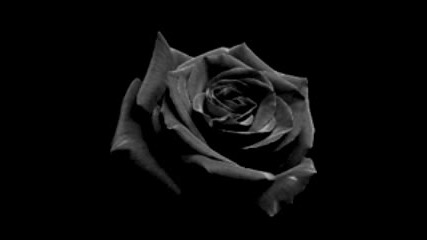 Opeth - Black Rose Immortal (part 3)