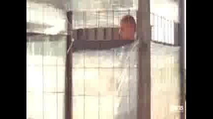 Prison Break