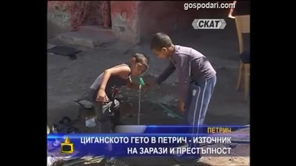 Господари на ефира - Роми еколози - Смях!