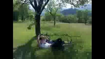 Луди!!!невероятен скок срещу клон на дърво - болезнено