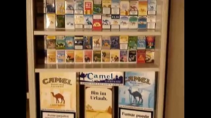 Camel Box Collection