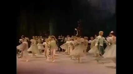 The Sleeping Beauty Kirov/marinsky Ballet 12
