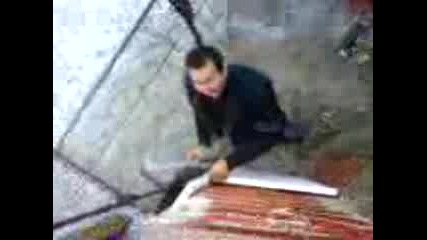 Ludia Tamer