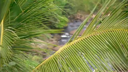 Chill Out Music - Hawaii 