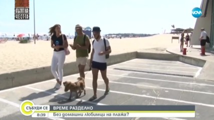 ВРЕМЕ РАЗДЕЛНО: Без домашни любимци на плажа?