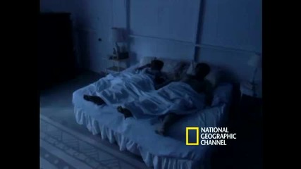 National Geographic - Bed Bugs 
