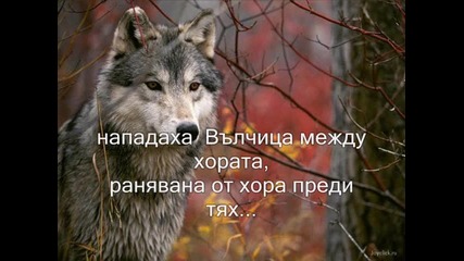 Вълчица-wolf Howls-wolf's Song
