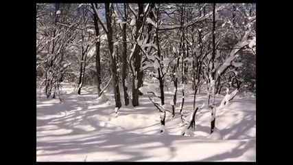 Шуменско плато през зимата