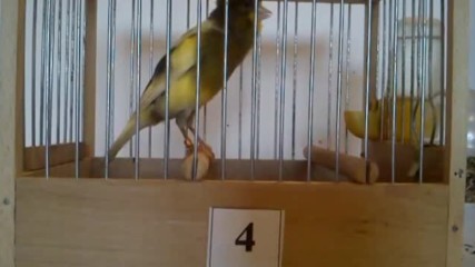 Number 47