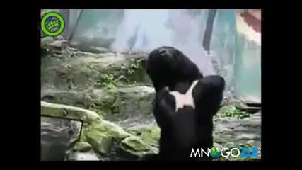Силата е с нея 