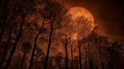 Specialmind - Rising Moon
