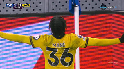Goal by Wolverhampton Wanderers FC