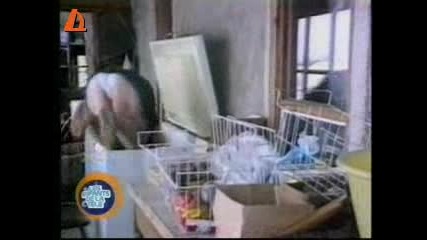 Дебелана пада във фризер