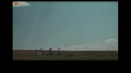 P.i.f. - Вали