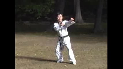Wtf Taekwondo - Taegeuk Pal Jang (8 P.)