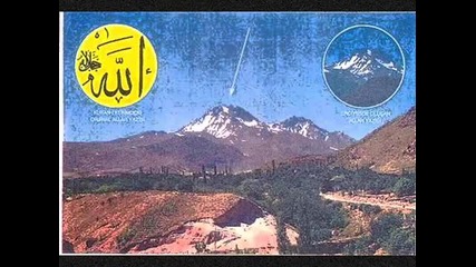 Miracles of Allah Over The World