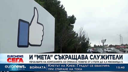 Печалбите на „Мета“ се сринаха повече от два пъти до 4,4 милиарда