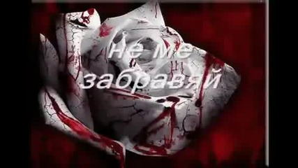 sotis volanis na magapas