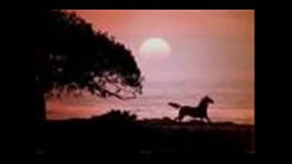 Bob Seger - Against the Wind