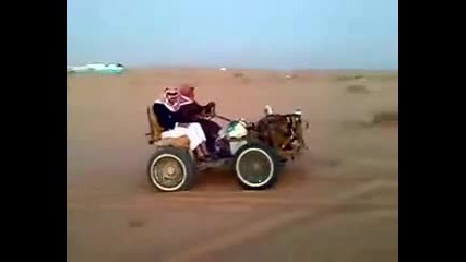 Ето как се забавляват арабите!